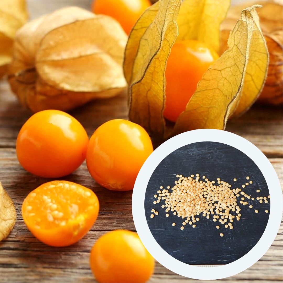 Семена физалиса земляничный 0,2 г (RS-00072) - фото 3