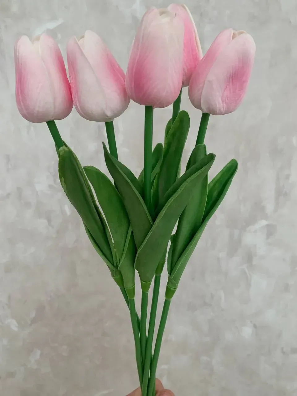 Букет из латексных тюльпанов высотой 35 см 5 шт. Бело-розовый (P0040)