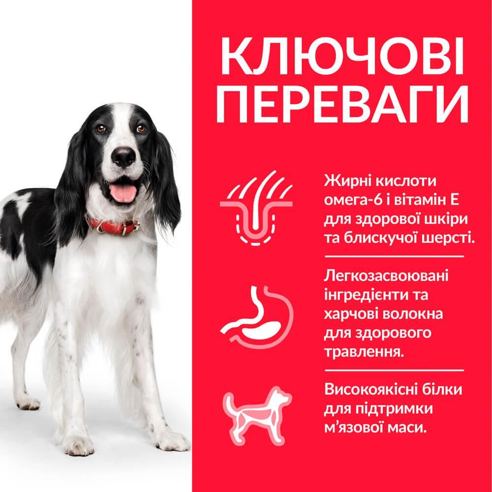 Корм для собак Hill's Science Plan Medium Breed средних пород с курицей 2,5 кг - фото 2 Корм для собак Hill's Science Plan Medium Breed средних пород с курицей 2,5 кг - фото 2