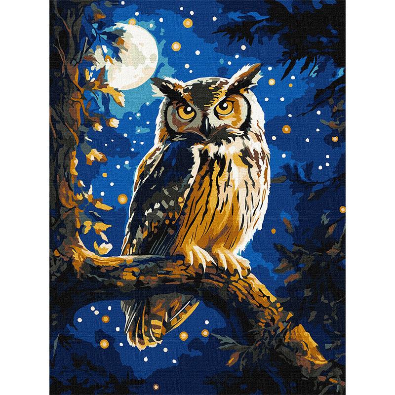 Картина по номерам Ideyka Ночная сова с красками металик 30x40 см (KHO6681)