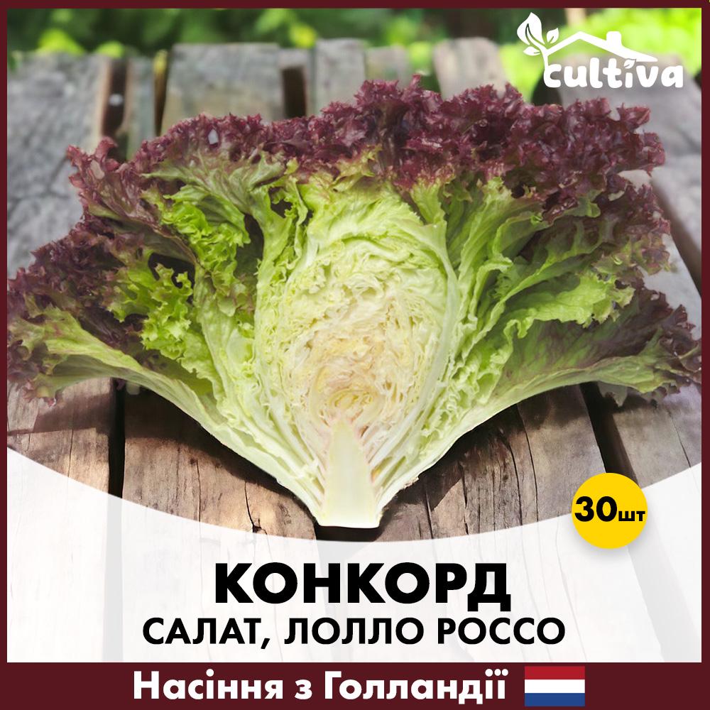 Семена салата Enza Zaden Конкорд тип Лолло Россо 30 шт. (Y2002)