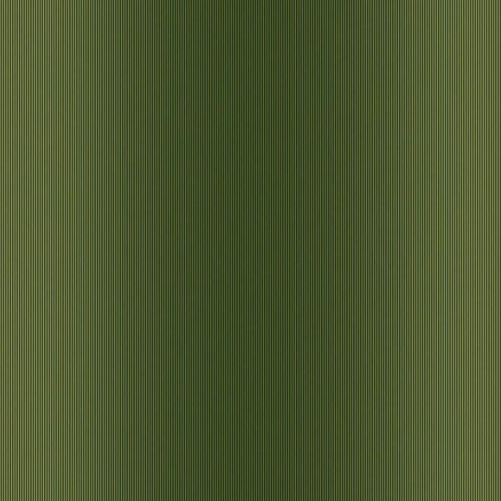 Обои Paravox Grafia (GR4043) Обои Paravox Grafia (GR4043)