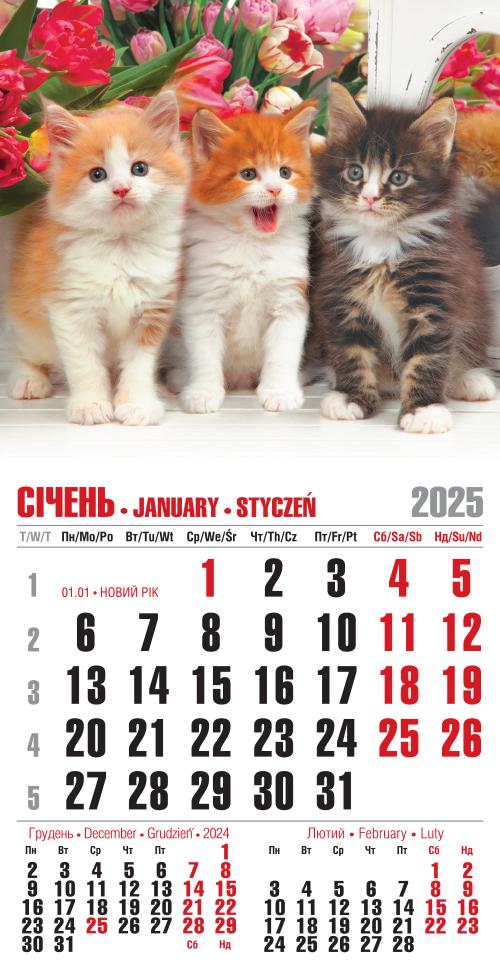 Календар на 2025 р. Магніт Тріо котиків та тюльпани Календар на 2025 р. Магніт Тріо котиків та тюльпани