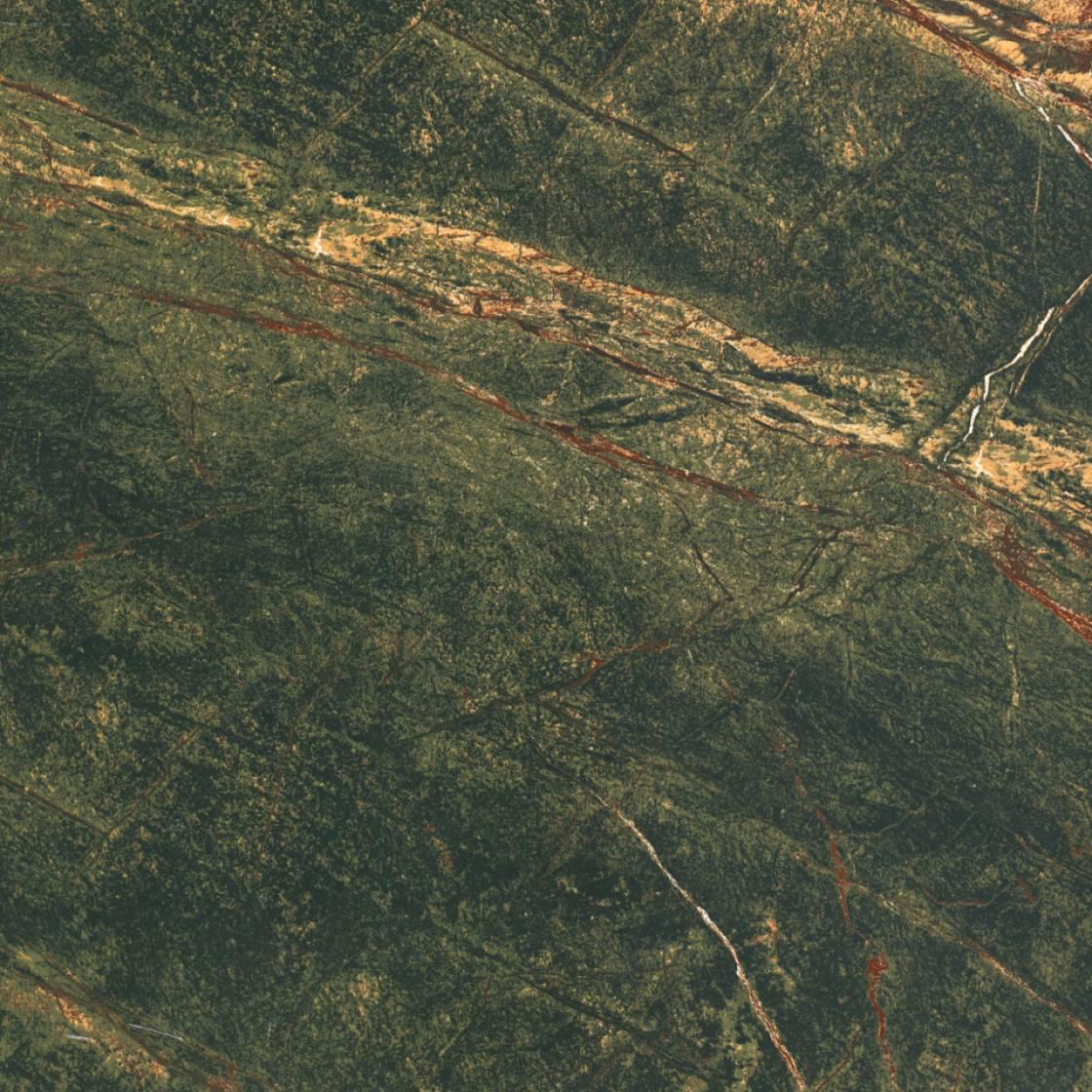 Керамогранитная плитка универсальная ST Green Forest 60х60 см (21128)