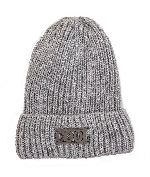 Шапка детская для мальчиков Марк D837 флис 50-54 см Светло-серый