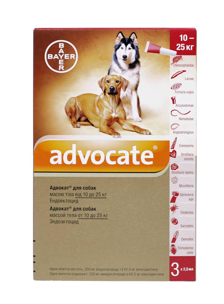 Капли Bayer Адвокат от заражений эндо и экто паразитами для собак 10-25 кг 3 пипетки (4007221037415) - фото 6 Капли Bayer Адвокат от заражений эндо и экто паразитами для собак 10-25 кг 3 пипетки (4007221037415) - фото 6
