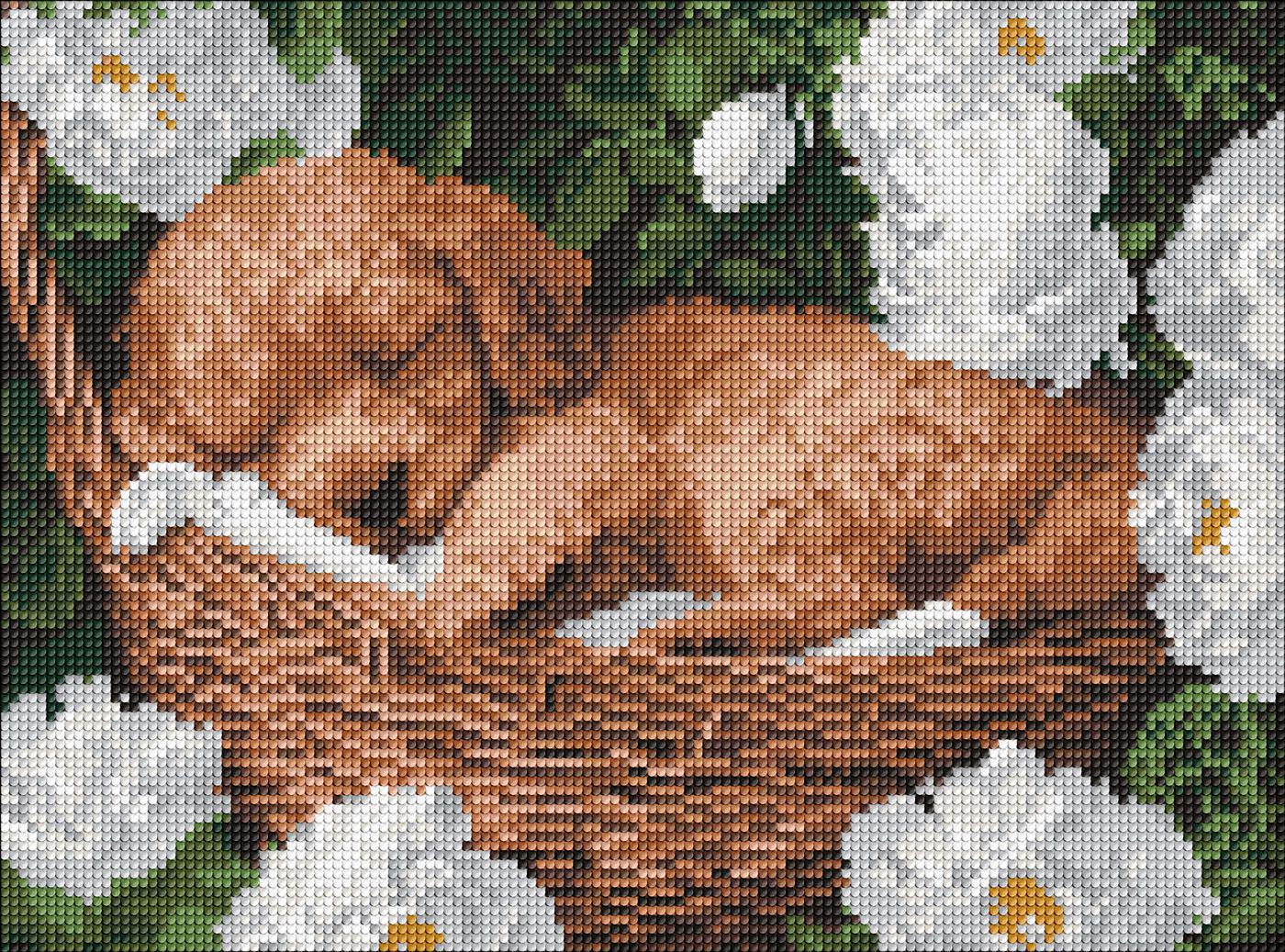 Набір з алмазною мозаїкою Ideyka Сплячий пудель AMO8170 на підрамнику 30x40 см (MTT-199476)