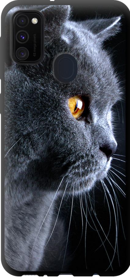 Чехол на Samsung Galaxy M21 M215F Красивый кот (3038b-2016-42517)