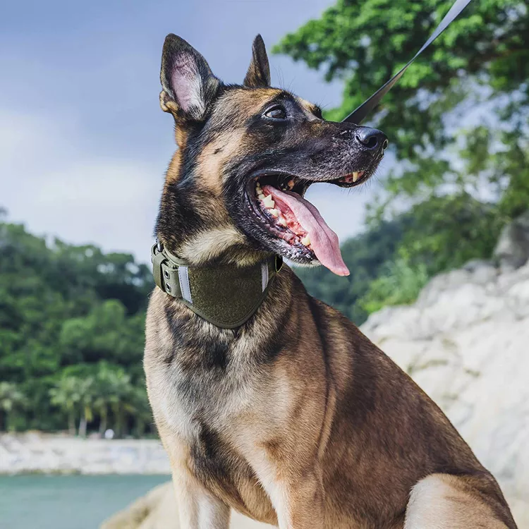 Нашийник для собак середніх і великих порід Ulink світловідбиваючий М 35-45 см Оливковий (1931772151) - фото 4 Нашийник для собак середніх і великих порід Ulink світловідбиваючий М 35-45 см Оливковий (1931772151) - фото 4