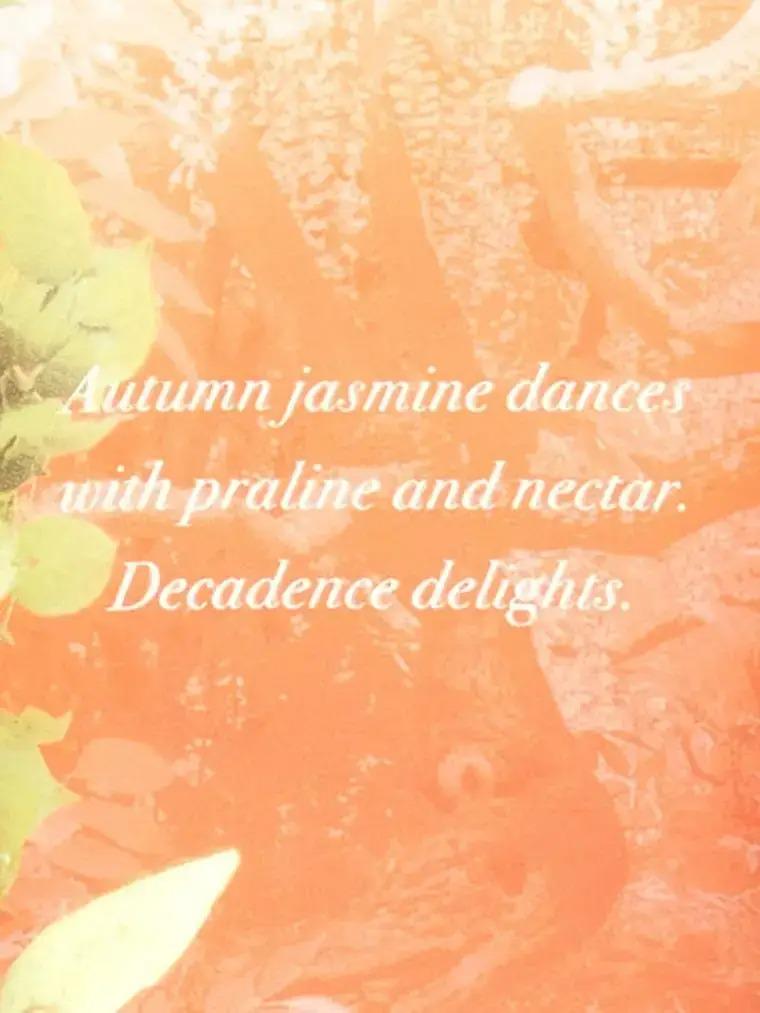 Лосьйон для тіла Fragrance Lotion Nectar Drip 236 мл (10507543) - фото 2