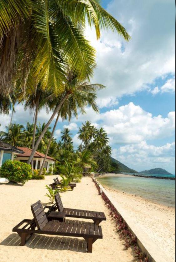 Обогреватель-картина Shine EK-51 Пляж 047 250 W инфракрасный настенный 106х60 см (1342556176)