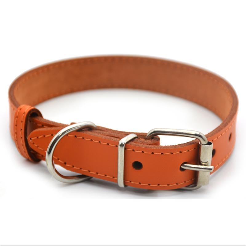 Ошейник для собак Zoo-hunt Весна кожаная 3,0/41-51 см Оранжевый - фото 1 Ошейник для собак Zoo-hunt Весна кожаная 3,0/41-51 см Оранжевый - фото 1