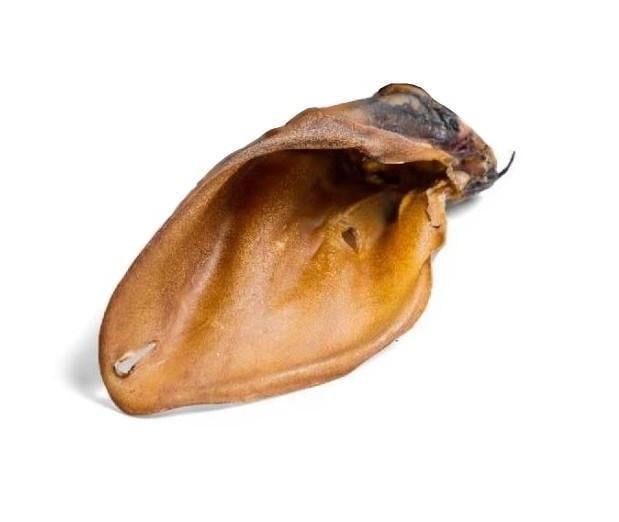 Лакомство для собак ZooFooD Ухо говяжье сушеное 1 шт. (1396395579)