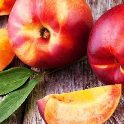 Саджанець Нектарин Фентезі лисий персик осінній сорт пізній термін дозрівання (21367)