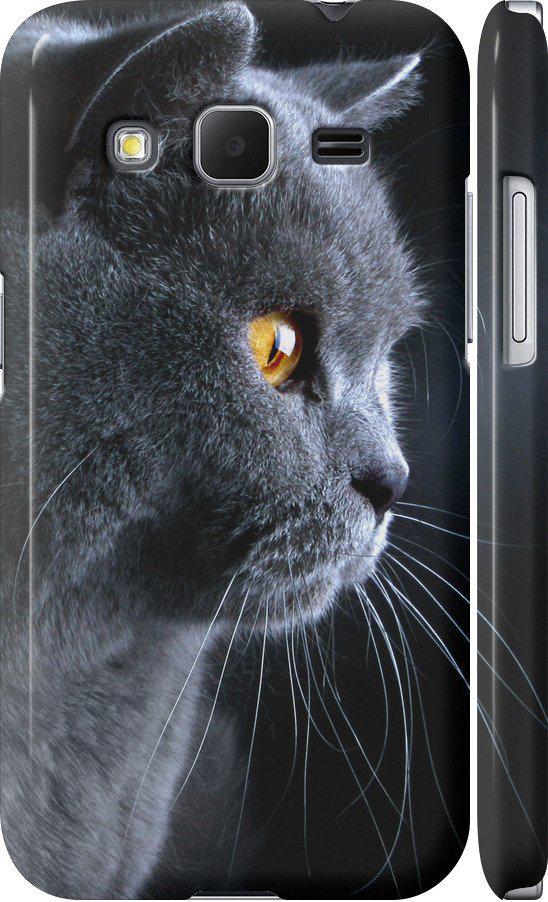 Чехол на Samsung Galaxy Core Prime VE G361H Красивый кот (3038m-211-42517)