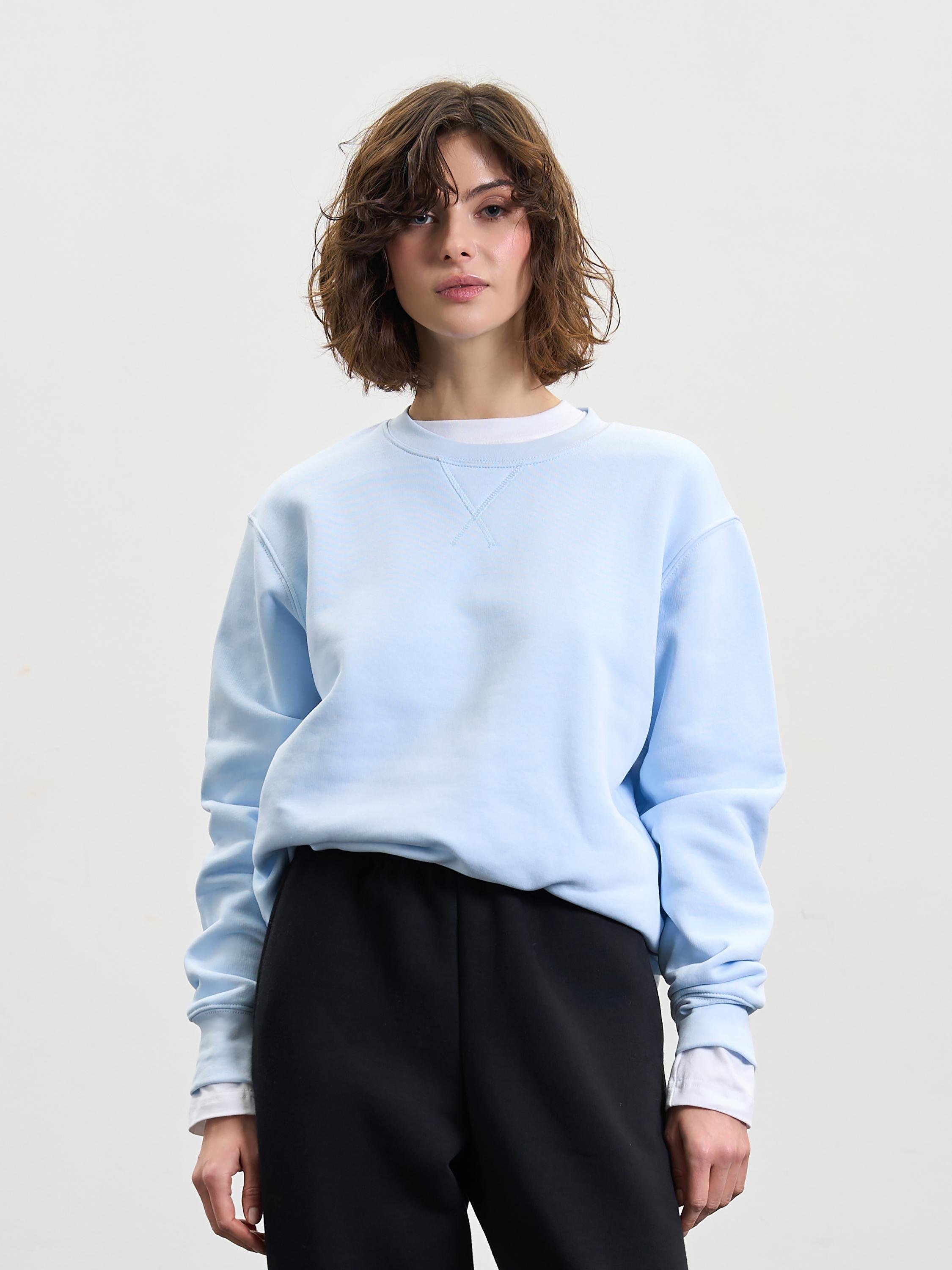 Свитшот женский утепленный ROZA 240428 S Морозный голубой (4824005710186) Свитшот женский утепленный ROZA 240428 S Морозный голубой (4824005710186)