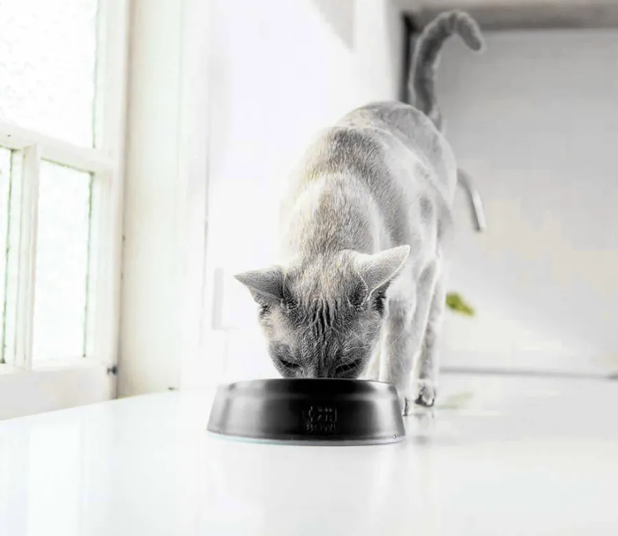 Миска для кошек LickiMat OH Bowl 250 мл Black - фото 2 Миска для кошек LickiMat OH Bowl 250 мл Black - фото 2