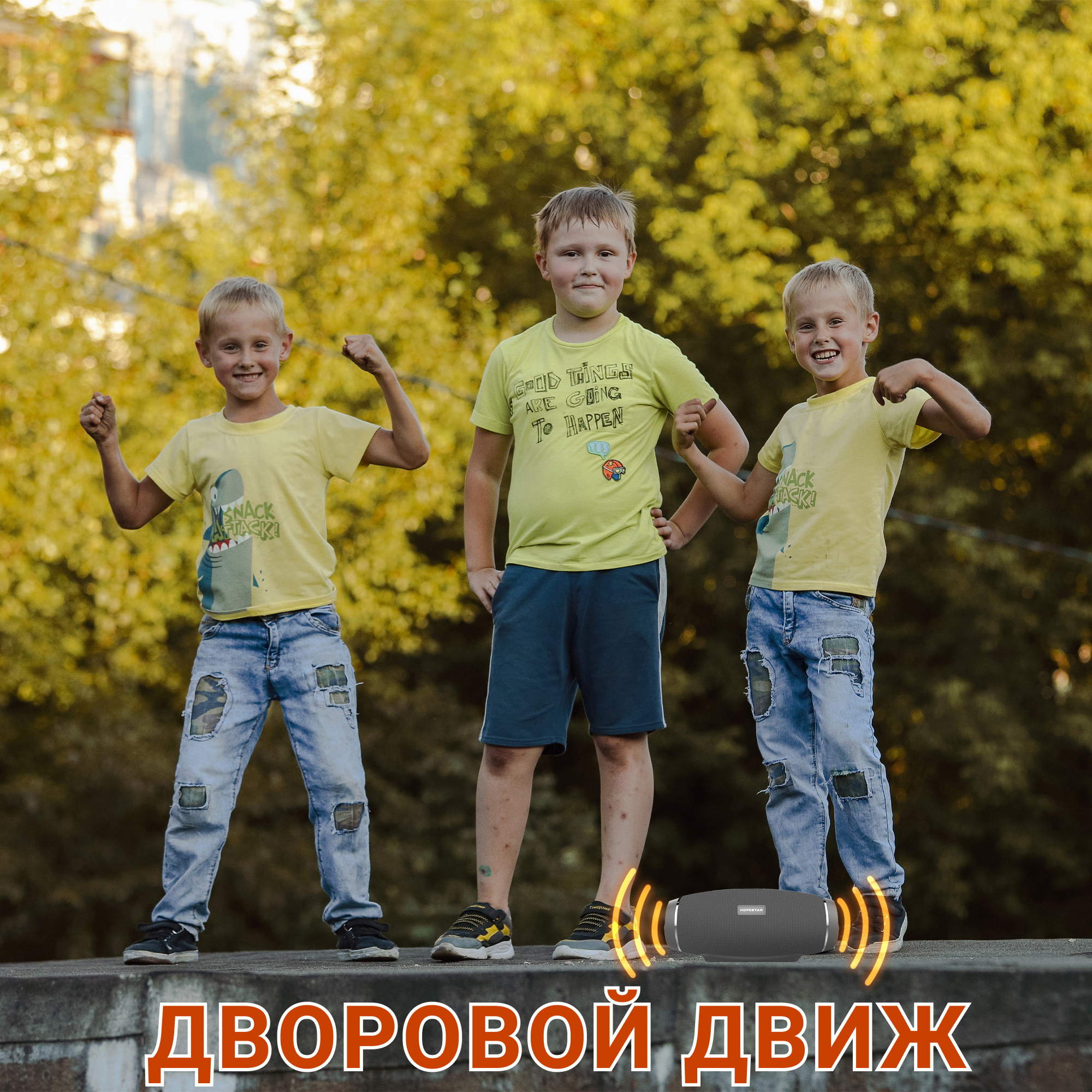 Акустическая система Hopestar PowerBank H27 Серый - фото 13 Акустическая система Hopestar PowerBank H27 Серый - фото 13