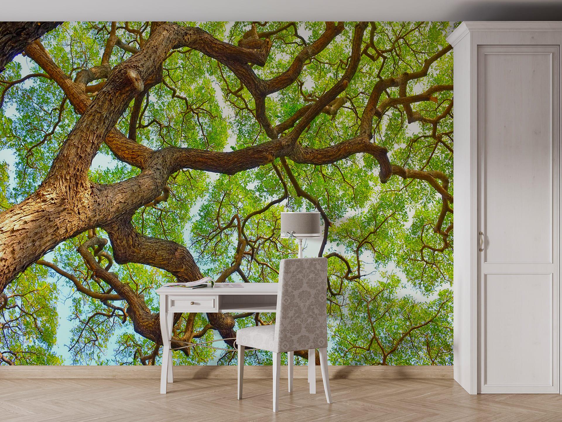 Фотошпалери флізелінові Styleo Print-walls Гіллясте дерево 0291 400х250 см (Pw-0291/4)