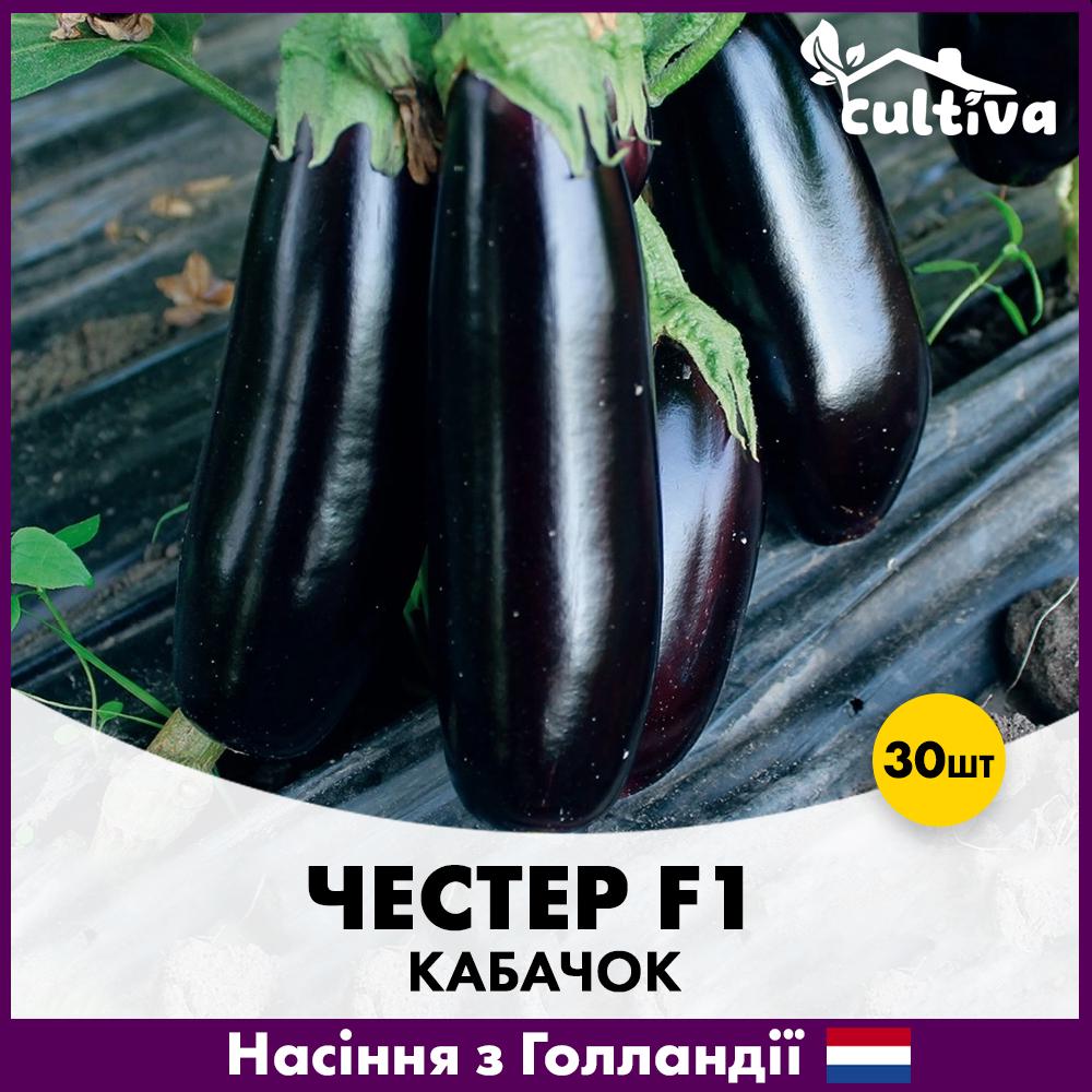 Семена баклажана Ergon Seed Честер F1 30 шт. (R51076_30)
