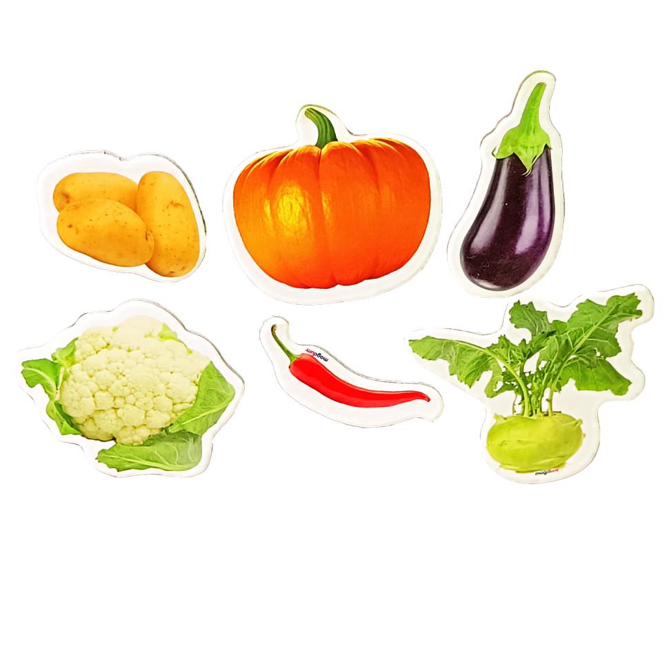 Магниты развивающие Magdum Овощи от 3 лет 6 шт. Оранжевый (ID-173-N-4)