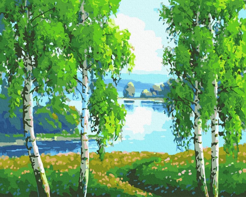 ᐉ Картина за номерами Rainbow Art Березовий гай 40x50 см без
