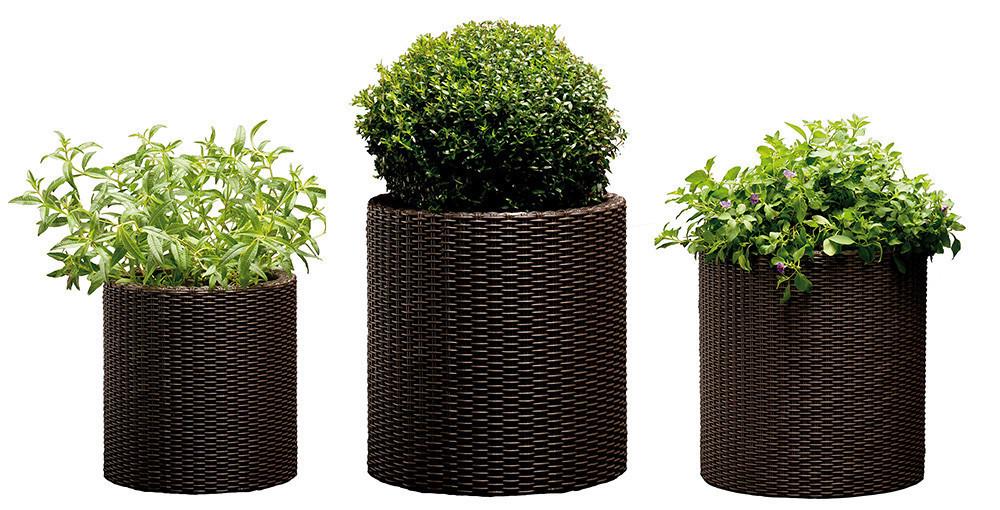 Набор горшков из ротанга Keter Cylinder Planter Set Коричневый (ZCNT00012169) Набор горшков из ротанга Keter Cylinder Planter Set Коричневый (ZCNT00012169)