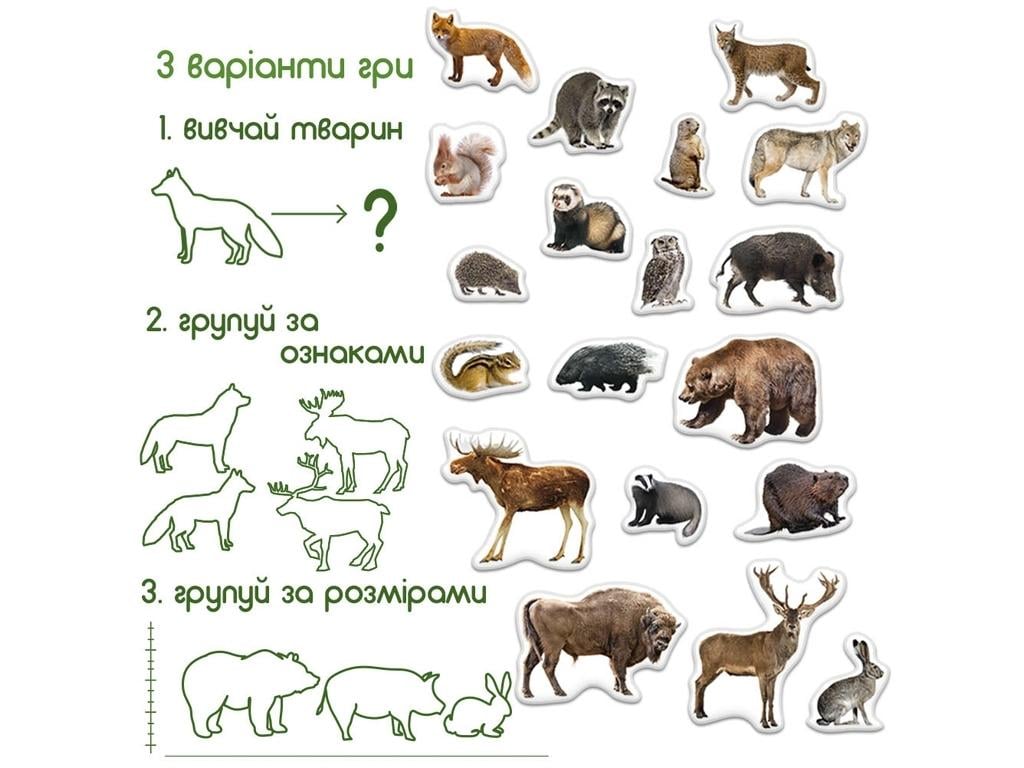 Набір магнітів Лісові тварини Magdum ML4031-29 EN Forest animals magnets (4112) - фото 4 Набір магнітів Лісові тварини Magdum ML4031-29 EN Forest animals magnets (4112) - фото 4