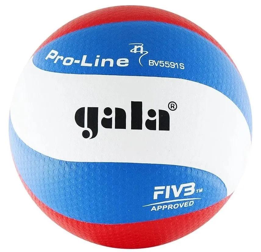 Мяч волейбольный Gala Pro-Line FIVB BV5591S р. 5 (46a8d41f)