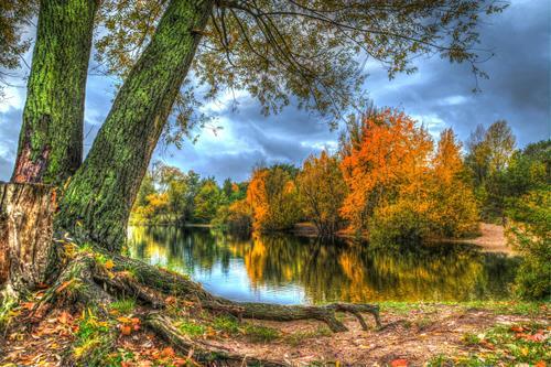 Картина на холсте Природа 50х70 см (PR234m)