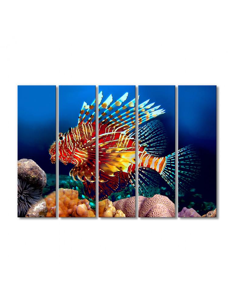 Картина модульная Полосатая крылатка 5 модулей 80x120 см