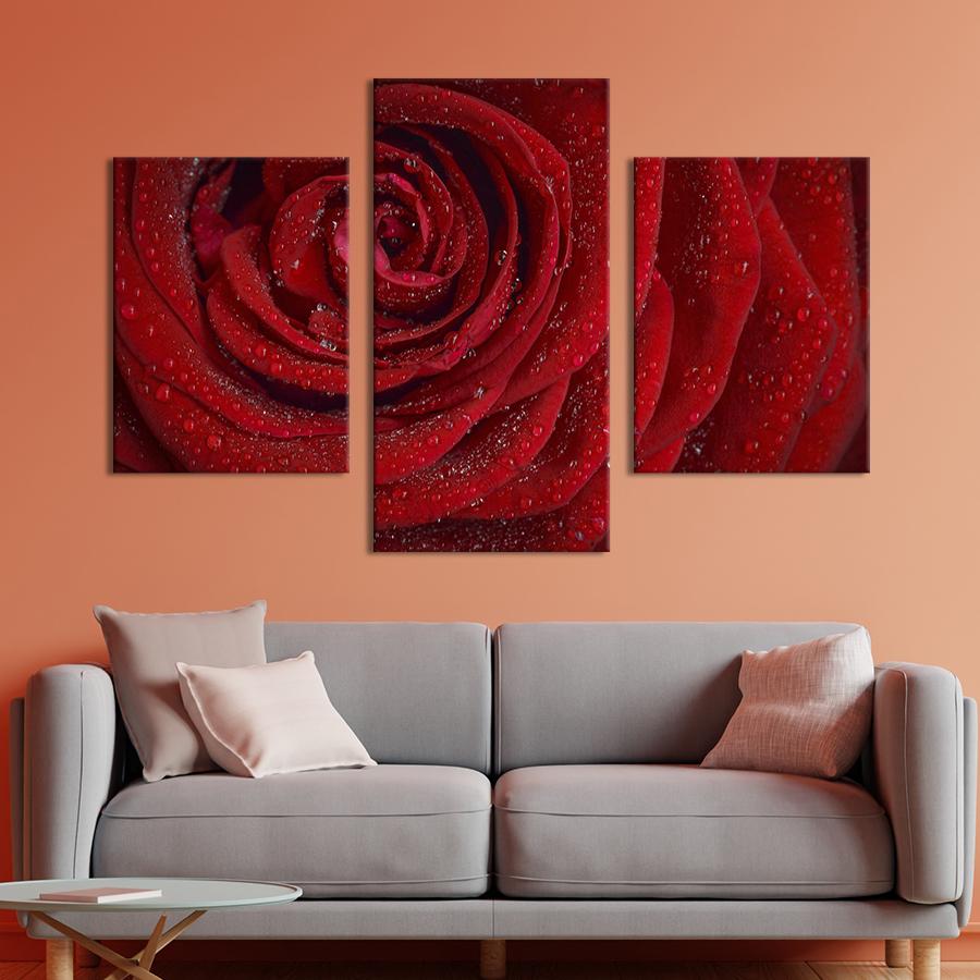 Картина на холсте триптих Блестящая алая роза 96x60 см (976-32)