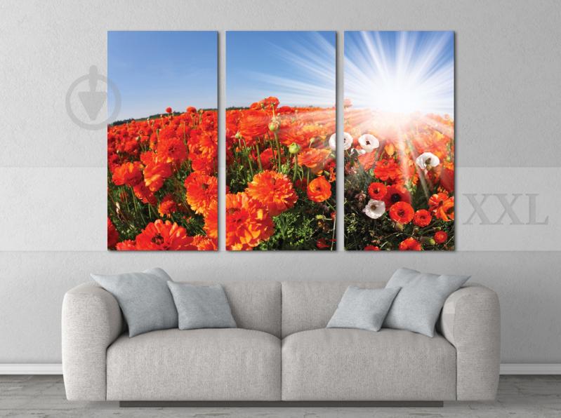 Модульна картина Poster-land Полі Маки Art-19_XXL