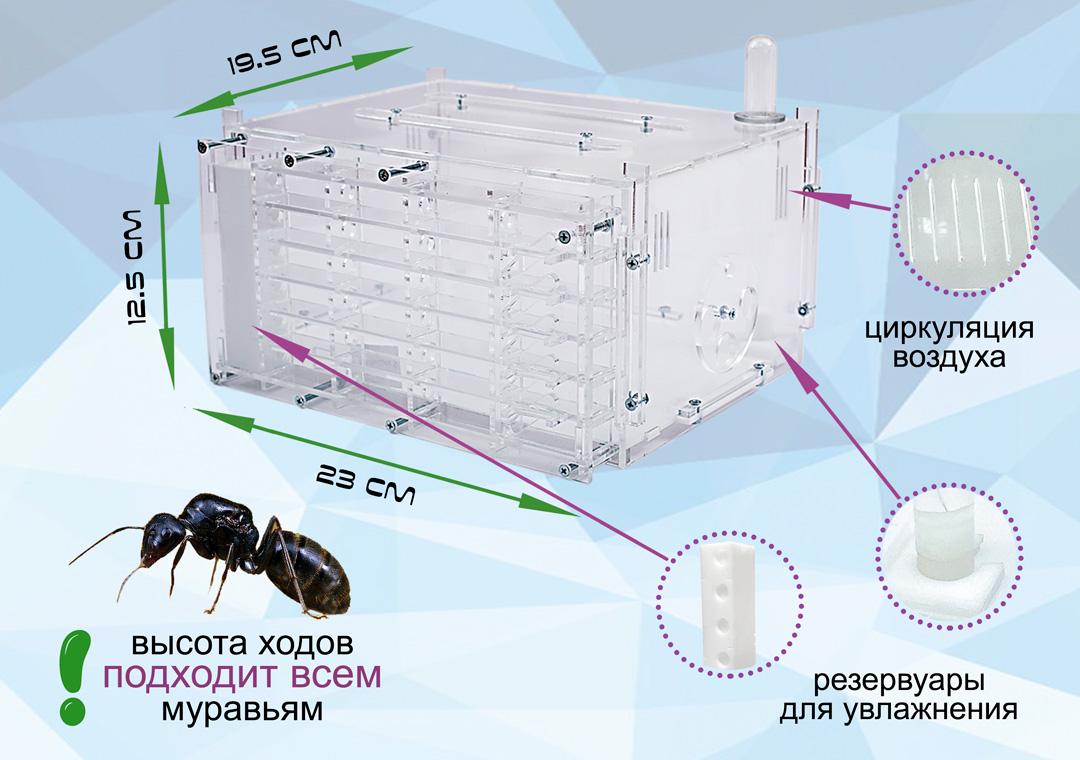 Комплект ANT-LIVE Хмарочос з мурашиною фермою та мурахами (3cdf8d3b) - фото 3