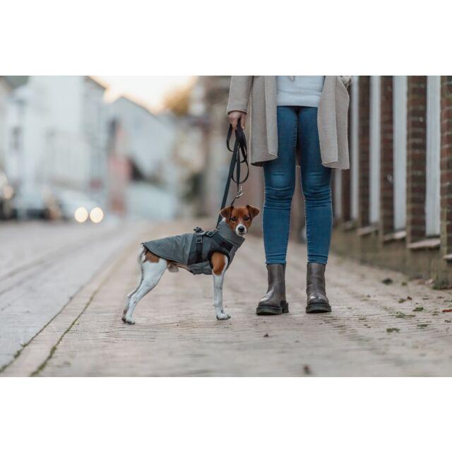 Попона для собак Trixie Pontis Reflect зимова зі шлейкою 45 см Сірий (TX-6803406) - фото 5 Попона для собак Trixie Pontis Reflect зимова зі шлейкою 45 см Сірий (TX-6803406) - фото 5