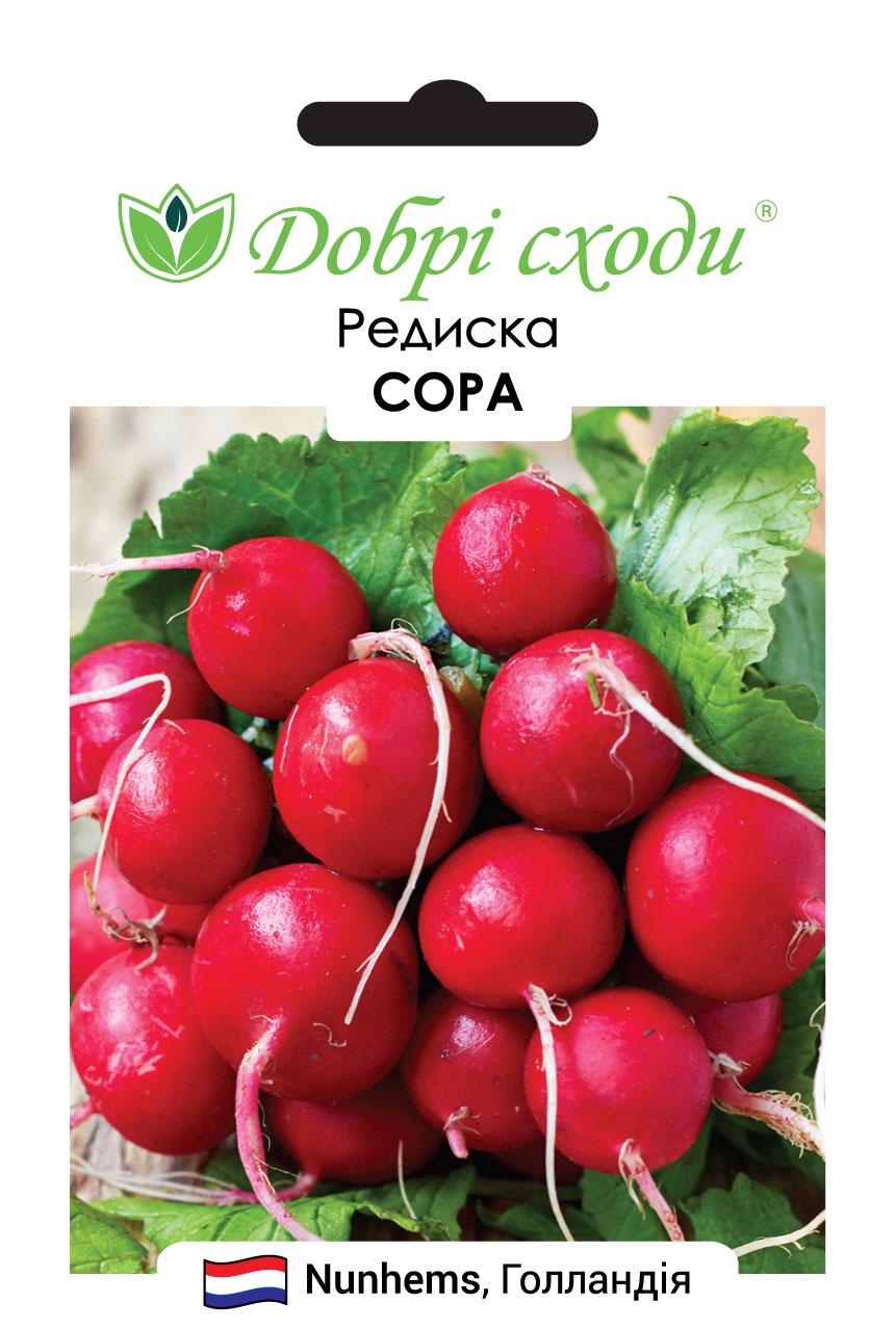 Семена редис Сора Добрі Сходи 10 г (01180014)