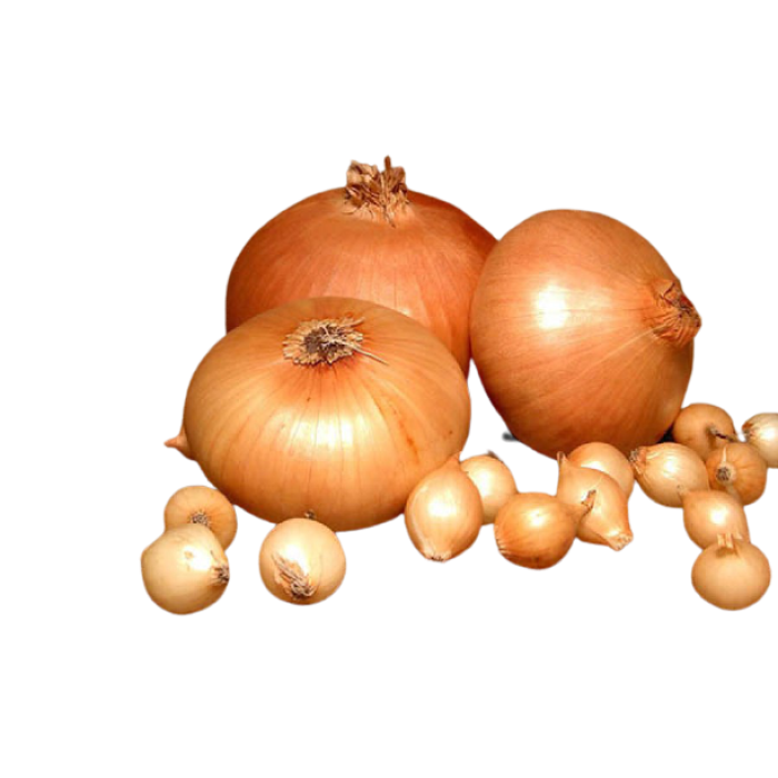 Цибуля сівок BroerB.V. Штутгартен Стенфілд 10-21 мм 100 г (1881984395)