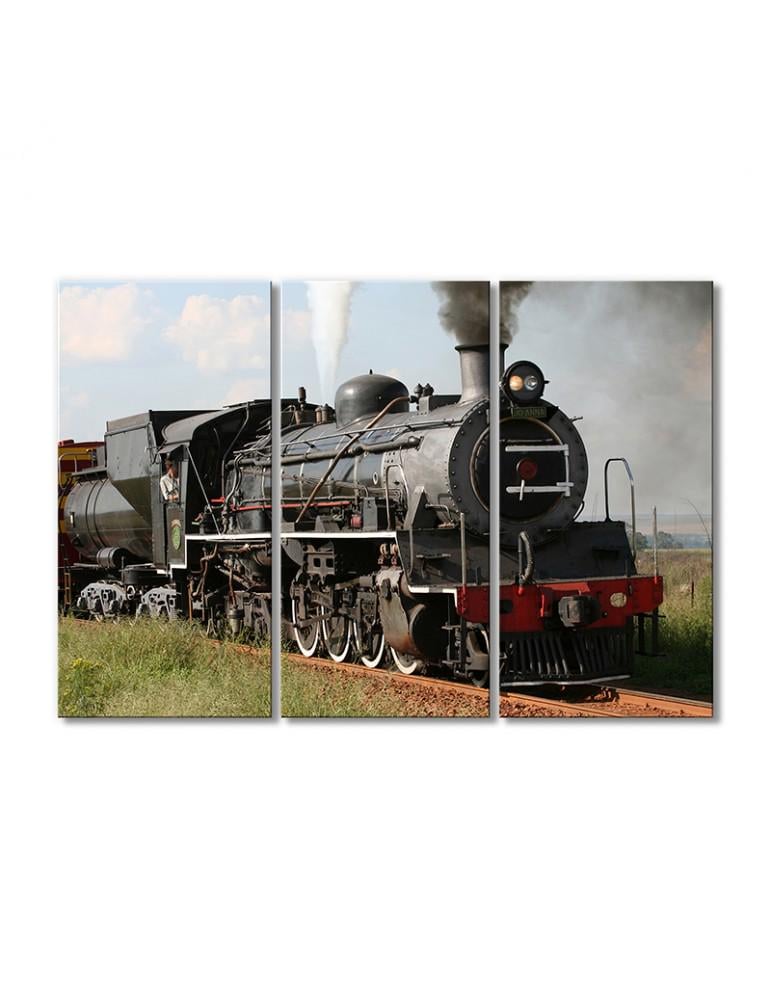 Картина модульная Паровоз в степи 3 модуля 120x180 см