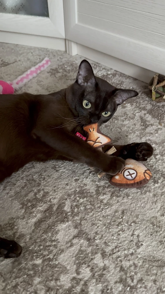 Іграшка для котів Рибний скелетик мататабі й котяча м'ята (23689481) - фото 8