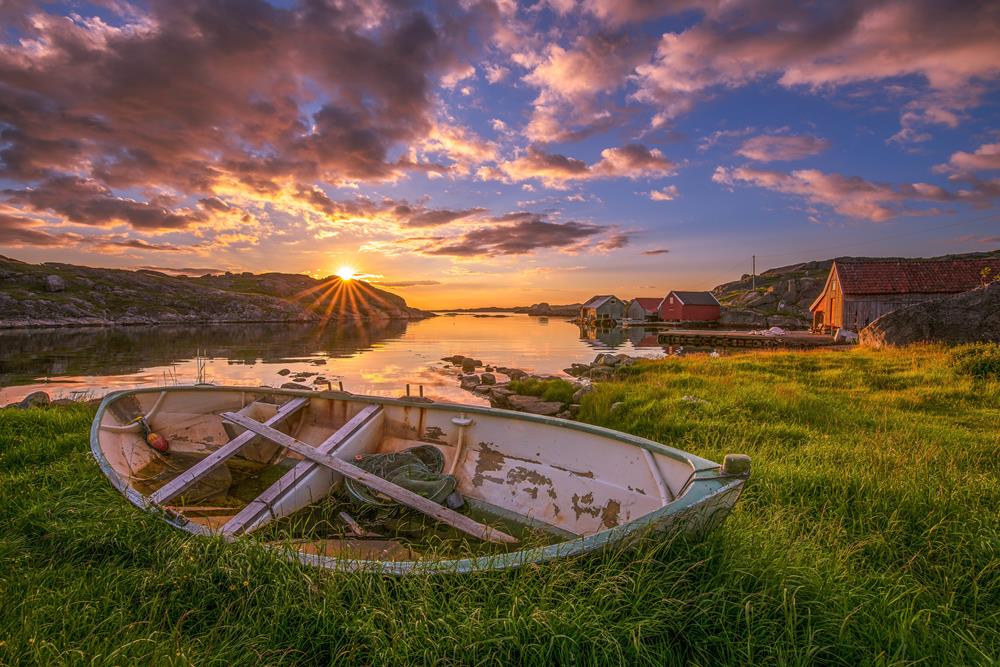 Картина Природа PR226 35х55 см