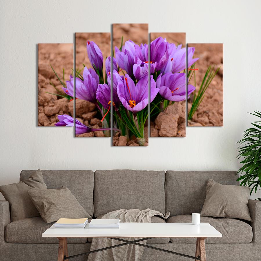 Картина цветы и растения Крокусы на грядке 137x85 см (A1029-5)