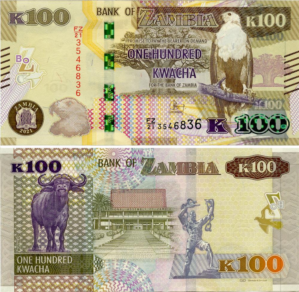 Колекційна банкнота Замбія 100 квача 2021 UNC Буйвол (Pnew)