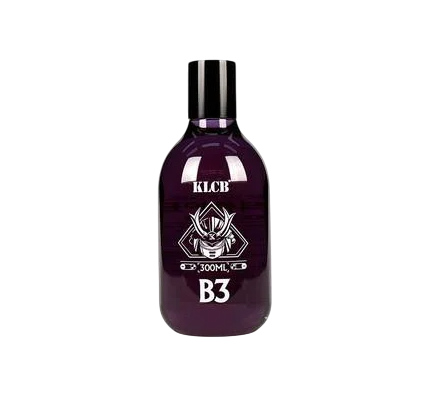Средство для ухода за внешним пластиком KLCB В-3 Plastic parts care agent 300 мл (25107141)