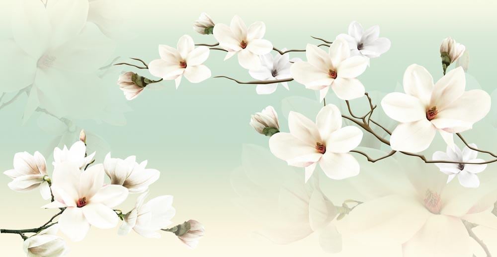 Фотообои Artside Ветки магнолии 120052020163d