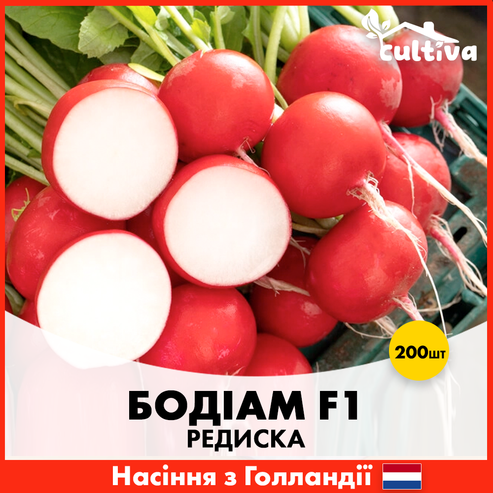 Семена редиса Rijk Zwaan Бодиам F1 200 шт. (00371)