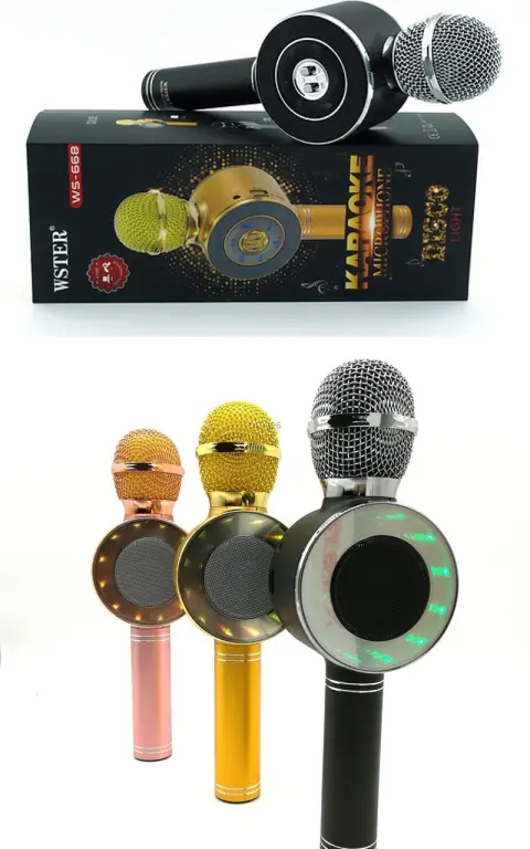 Мікрофон караоке Wster WS-669 бездротовий з вбудованим динаміком - фото 6 Мікрофон караоке Wster WS-669 бездротовий з вбудованим динаміком - фото 6