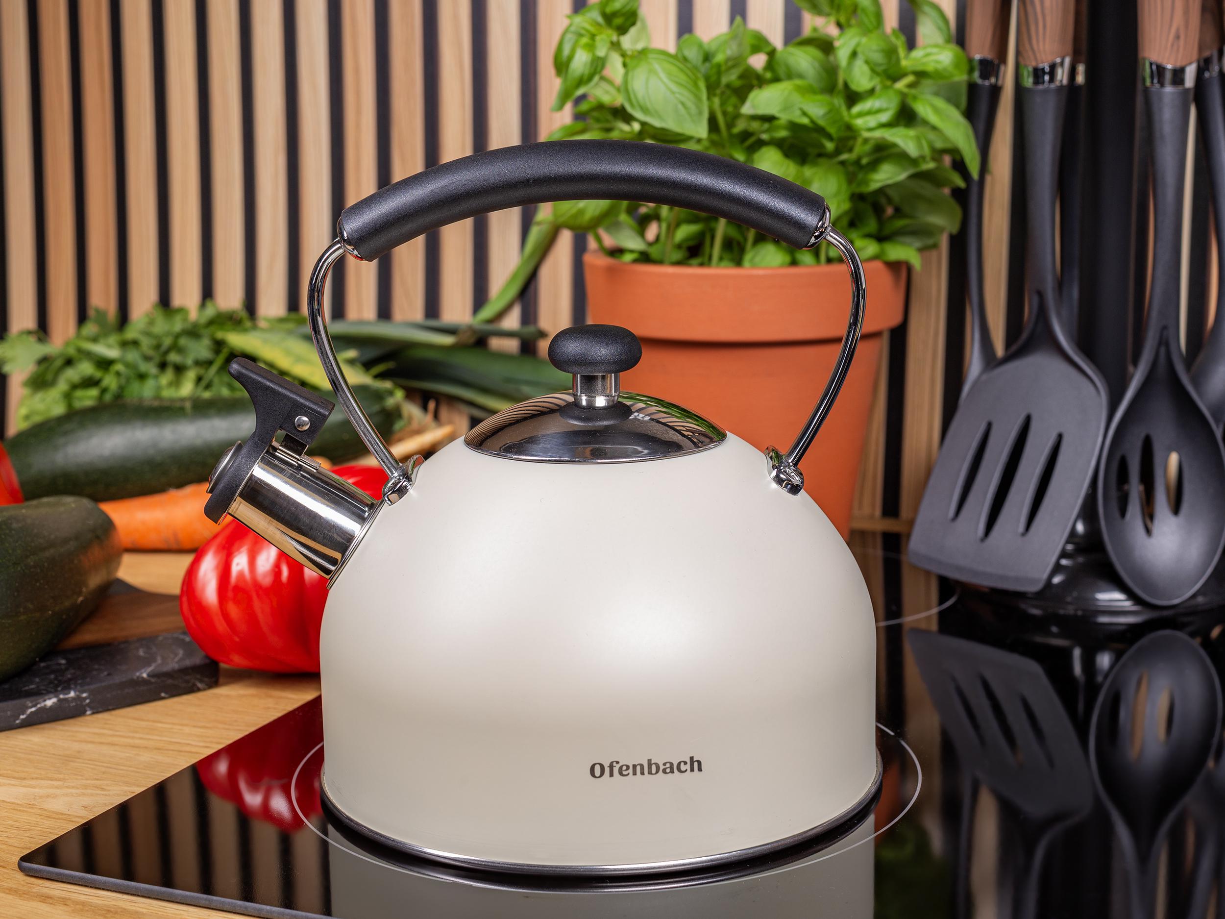 Чайник зі свистком та нейлоновою ручкою Ofenbach KM-100325 з нержавіючої сталі 2,2 л Білий (150-84-100325) - фото 8 Чайник зі свистком та нейлоновою ручкою Ofenbach KM-100325 з нержавіючої сталі 2,2 л Білий (150-84-100325) - фото 8