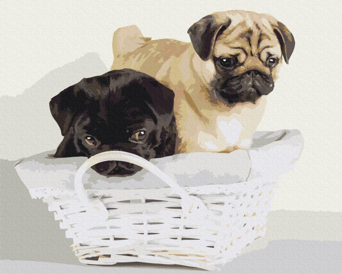 Картина по номерам Brushme Премиум Дружочки в корзине 40x50 см (PBS52643) Картина по номерам Brushme Премиум Дружочки в корзине 40x50 см (PBS52643)