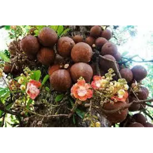 Орех бразильский Healthy Pack 200 г - фото 2