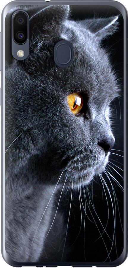 Чехол на Samsung Galaxy M20 Красивый кот (3038t-1660-42517)